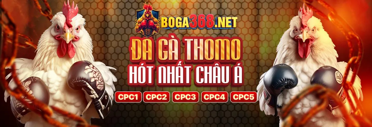 Đá Gà Trực Tuyến fve88 win